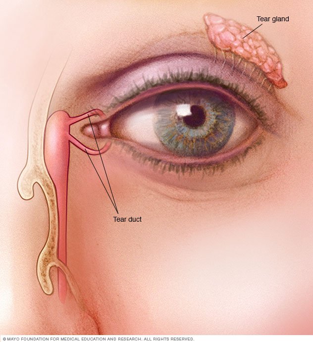 Blocked Tear Duct Disease Reference Guide 